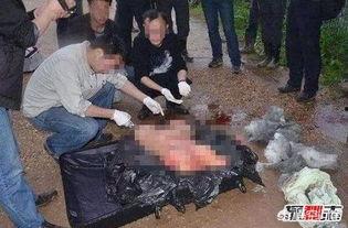 香港爆料碎尸案件最新,最新进展揭秘惊人真相