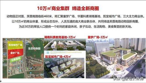 长沙市最新爆料,揭秘城市热点事件背后的真相”