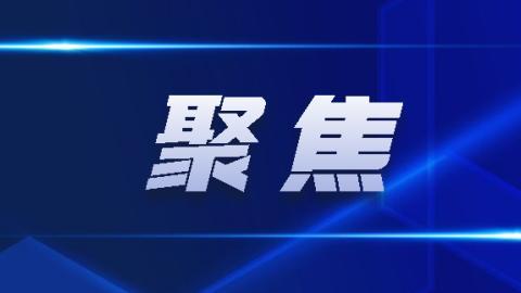 最新回响爆料新闻报道视频,揭秘视频背后的惊人真相