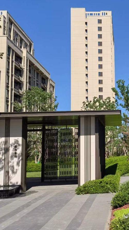 松原学樘府最新爆料,揭秘神秘项目背后的惊人真相