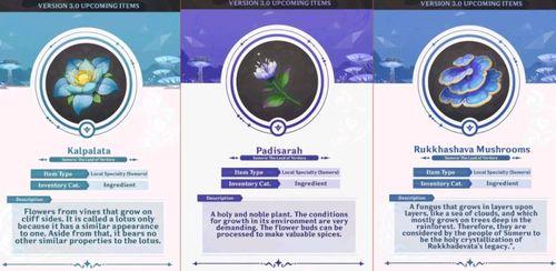 须弥怪物最新爆料视频,神秘生物惊现，揭秘奇幻世界新篇章